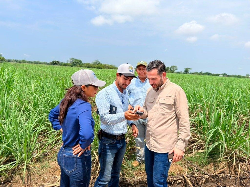 Integrantes de Agropecuaria Financiera y Rizal revisan información en un cultivo de caña de azúcar
