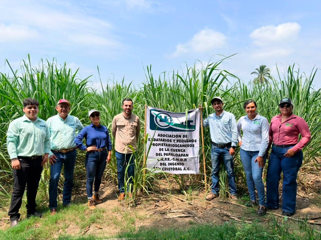 Agropecuaria Financiera, Rizal, and producer representatives standing together in a sugarcane field